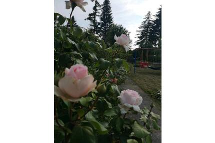 Pachtgarten abzugeben - 1.500,00&nbsp;EUR Kaltmiete, ca.&nbsp; 0,00&nbsp;m&sup2; in Zeitz (PLZ: 06712)