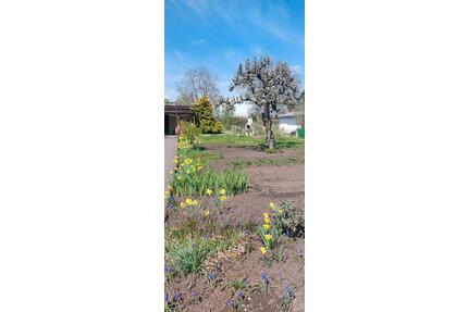 Garten abzugeben in Osmünde - 500,00&nbsp;EUR Kaltmiete, ca.&nbsp; 0,00&nbsp;m&sup2; in Kabelsketal (PLZ: 06184)
