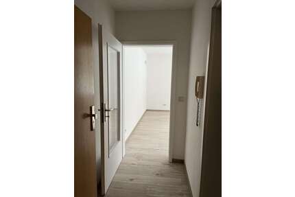 Wohnung zum Mieten in Chemnitz 240,00 € 40 m²