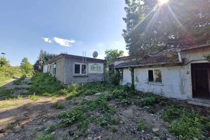 Haus zum Kaufen in Dessau 199.000,00 € 165 m²