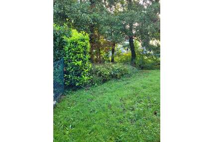 Wohnung zum Mieten in Sinzheim 1.630,00 € 163.15 m²