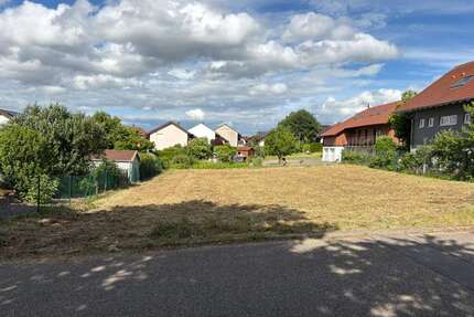 Grundstück zu verkaufen in Straubenhardt 329.000,00 € 656 m²