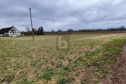 Grundstück zu verkaufen in Ehingen an der Donau 128.000,00 € 1000 m²
