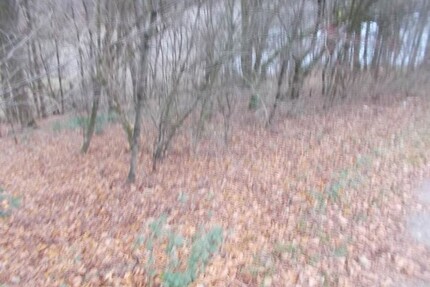 Baugrundstück in Werdohl sehr interessant für Investoren