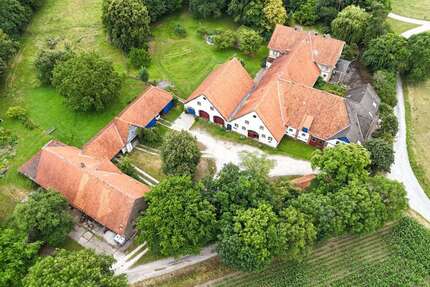Haus zum Kaufen in Borgholzhausen 986.000,00 € 860.67 m²
