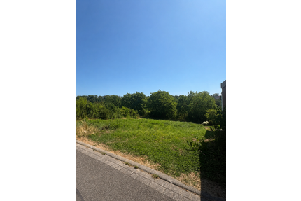 Grundstück zu verkaufen in Steinheim an der Murr 369.820,00 € 450 m²