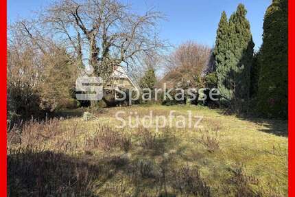 Grundstück zu verkaufen in Insheim 359.000,00 € 1552 m²