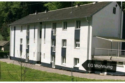 2 Zimmer Wohnung - 625,00&nbsp;EUR Kaltmiete, ca.&nbsp; 45,00&nbsp;m&sup2; in Schwörstadt (PLZ: 79739)