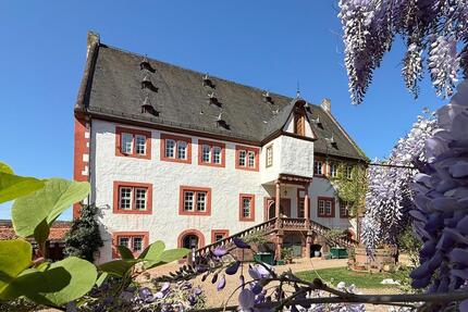 Stilvolle Gewerberäume im Stadtschloss Klingenberg - Klingenberg am Main