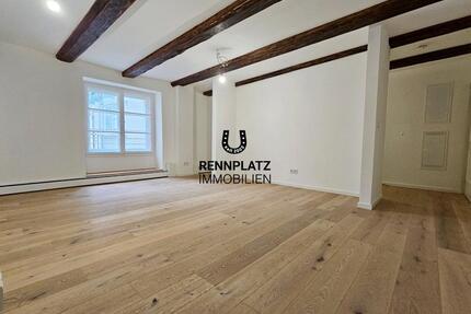 Traumhaft sanierte 3-Zimmer-Wohnung mit ca. 19 m² Dachterrasse in der Regensburger Altstadt. Frei.