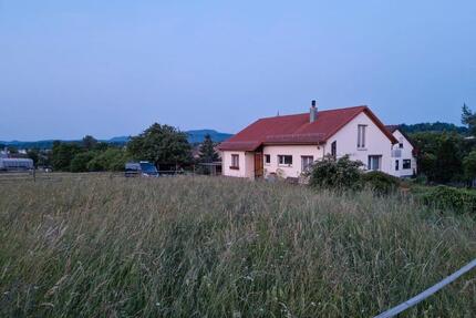 Wohnhaus mit kleinem Offenstall, zus. Bauplatz, 19ar Grundst. - Ofterdingen