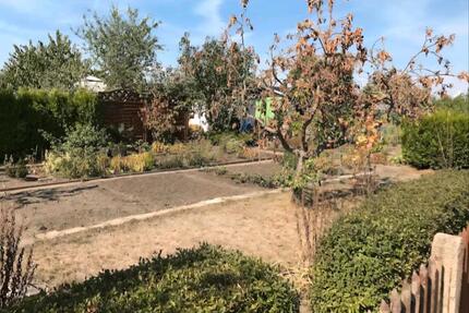 Garten Pachten in Merseburg Süd