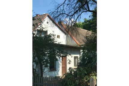 großzügiges Wohnhaus am Stadtrand der Kurstadt Bad Liebenwerda - Lauchhammer