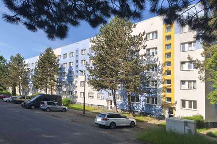 Wohnung zum Mieten in Borna 354,00 € 59 m²