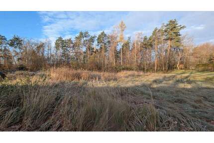 EIN GUTER GRUND - BAUPLATZ in Eltersdorf. - Erlangen Erlangen-Süd