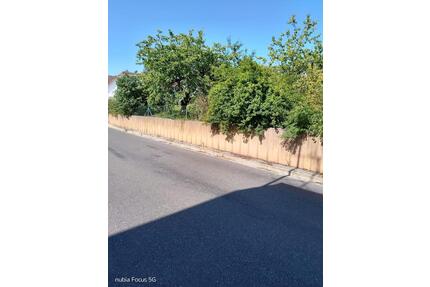 Baugrundstücke in Beikheim - 45,00&nbsp;EUR Kaltmiete, ca.&nbsp; 0,00&nbsp;m&sup2; in Marktzeuln (PLZ: 96275)