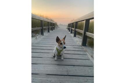 Lückentage 28.04.-03.05 Fewo 