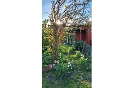 Garten, Wochendgrundstück, Spielhaus, Niederwürschnitz - Burkhardtsdorf