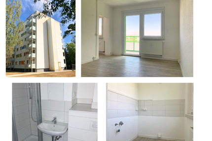 Wohnung zum Mieten in Döbeln 217,00 € 27.36 m²