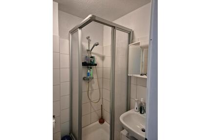 1,5 Zimmerwohnung in Frankfurt Grießheim Untermieter für 1 Jahr - Frankfurt am Main West