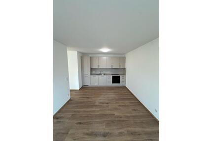 Neubau! - 2,5-ZKB Wohnung in ruhiger Lage - Osburg