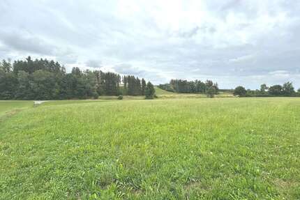 Grundstück in Kettershausen-Zaiertshofen 59.800,00 € 10875 m²