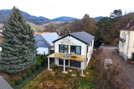 Haus zum Kaufen in Baden-Baden Neuweier 1.050.000,00 € 325 m² - Baden-Baden / Neuweier