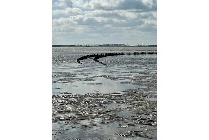 MonteurFerienwohnung.Genieß Nordsee,Watt,Meer u.Seeluft mit Hund - Krummhörn