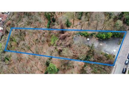 Absolute Rarität: Grundstück mit Kombination aus Baurecht und geschützter Naturfläche - Bad Dürkheim