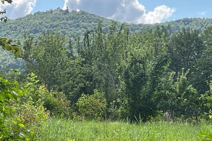 Wunderschöner Bauplatz in naturnaher, sonniger und ruhiger Lage von Bissingen -Tec - Bissingen an der Teck