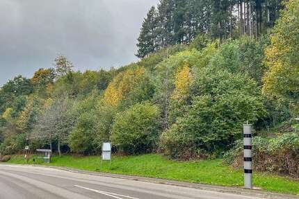 Grundstück in Schenkenzell 129.000,00 € 2116 m²