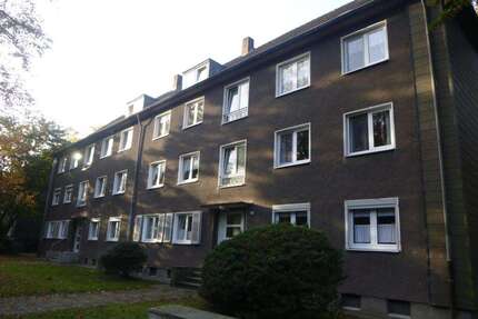 Wohnung zum Mieten in Gelsenkirchen 419,00 € 59.35 m²