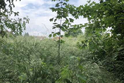 Grundstück zu verkaufen in Offleben 399.000,00 € 7723 m²
