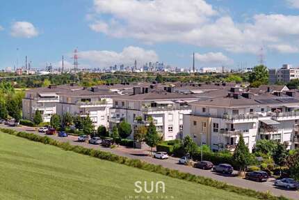Wohnung zum Kaufen in Hattersheim am Main 625.000,00 € 112.96 m²