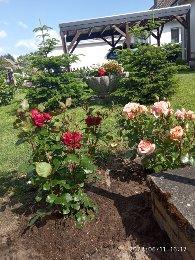 3-Zi Wohnung zu vermieten - 850,00&nbsp;EUR Kaltmiete, ca.&nbsp; 82,00&nbsp;m&sup2; in Bienenbüttel (PLZ: 29553)