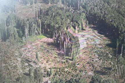 LaubholzNadelholz 1.462 qm in 51647 Gummersbach - Frömmersbach