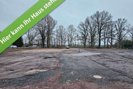 Haus zum Kaufen in Rodewald 354.700,00 € 130 m²