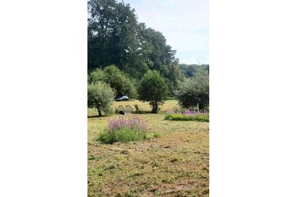 Weide am Großensee zu verpachten - Trittau