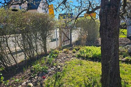 Kleingarten in gepflegter Lage günstig zu verpachten - Chemnitz Altchemnitz