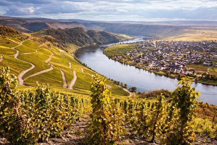 Ferienwohnung Weingarten in Piesport an der Mosel