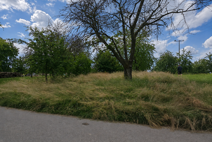 Grundstück in Renchen 9.900,00 € 1988 m²