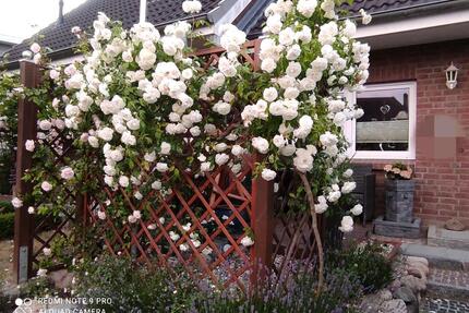 Reihenmittelhaus Bad Schwartau - 459.000,00&nbsp;EUR Kaufpreis, ca.&nbsp; 98,58&nbsp;m&sup2; in Bad Schwartau (PLZ: 23611)