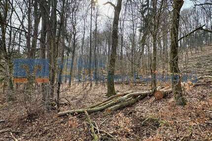 Grundstück in Treuchtlingen 29.349,00 € 10870 m²