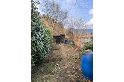 Hanggrundstück 1.200 m² mit Hüttchen zu vermieten in Bad-Wildbad - Karlsbad