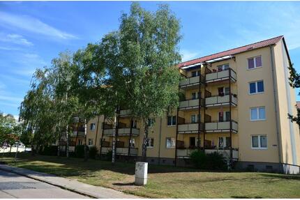 Einziehen und Wohlfühlen! - 384,00&nbsp;EUR Kaltmiete, ca.&nbsp; 60,00&nbsp;m&sup2; in Sangerhausen (PLZ: 06526)