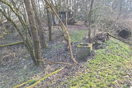 Gebotsverfahren: Waldgrundstück mit erheblichen Beräumungsbedarf zu verkaufen - Herzberg am Harz