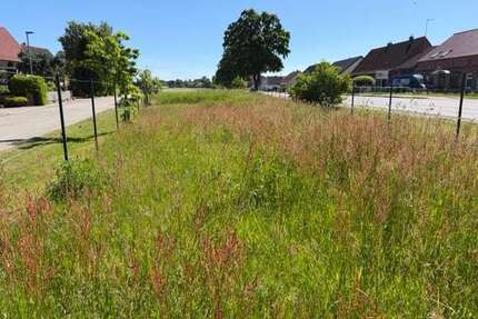 Grundstück zu verkaufen in Neu Brenz 43.000,00 € 1423 m²