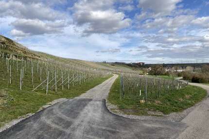 Grundstück in Bönnigheim 9.500,00 € 1748 m²