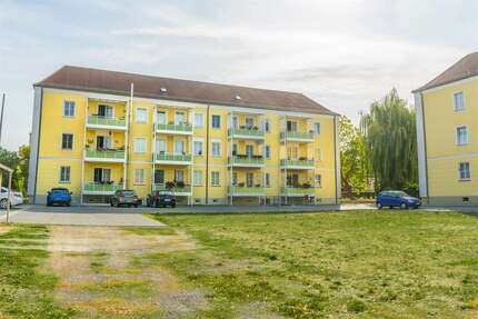 Wohnung zum Mieten in Forst (Lausitz) 420,00 € 64.54 m²