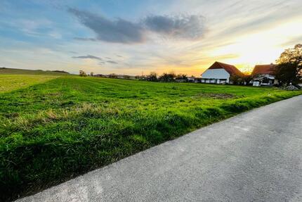 Baugrundstück mit Blick ins Grüne - Lütgenrode - Nörten-Hardenberg